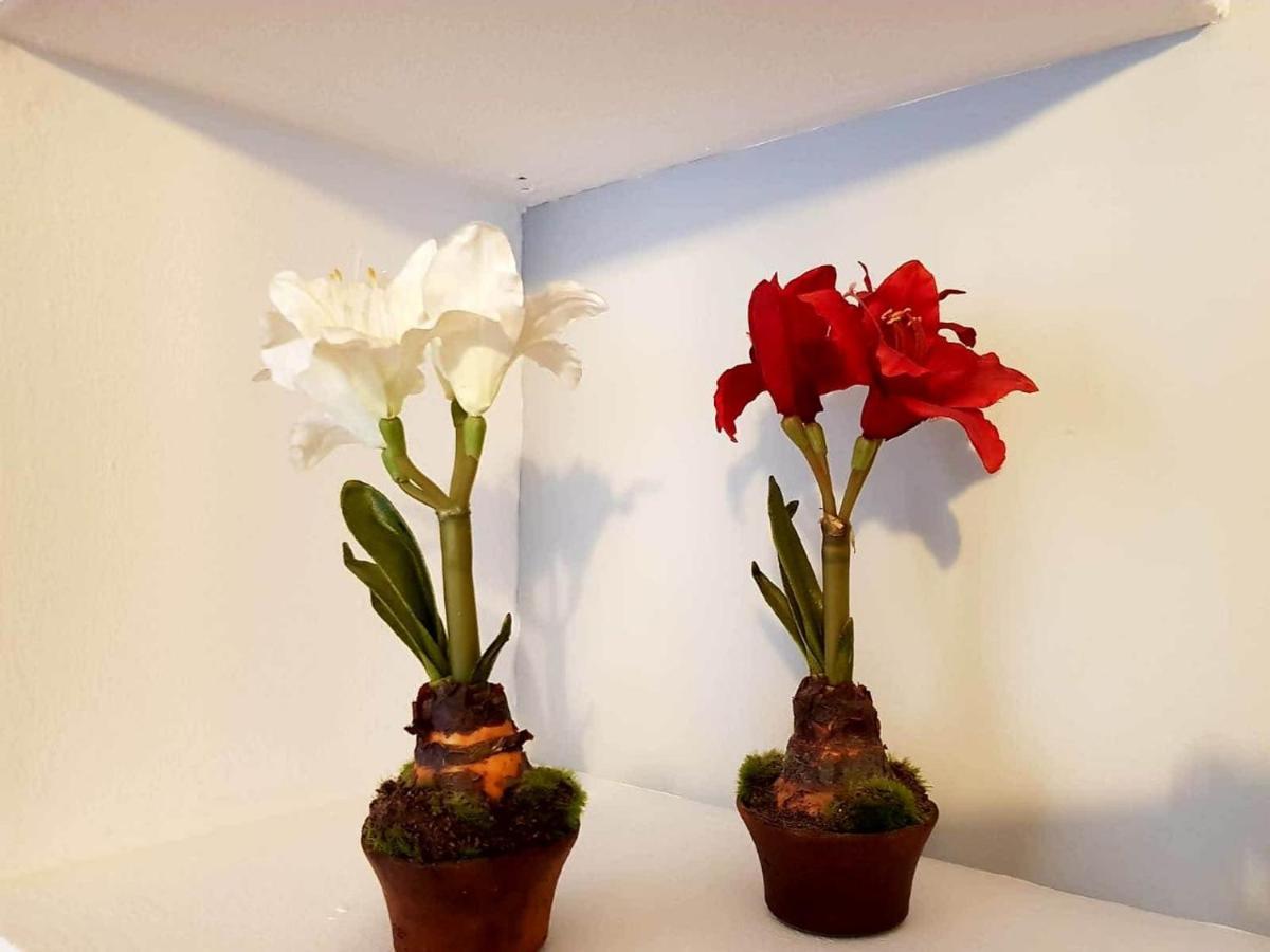 Cortadura Appartement *
